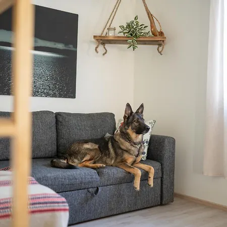Aidattu Omakotitalo - Palju Lisämaksusta Kalajoki